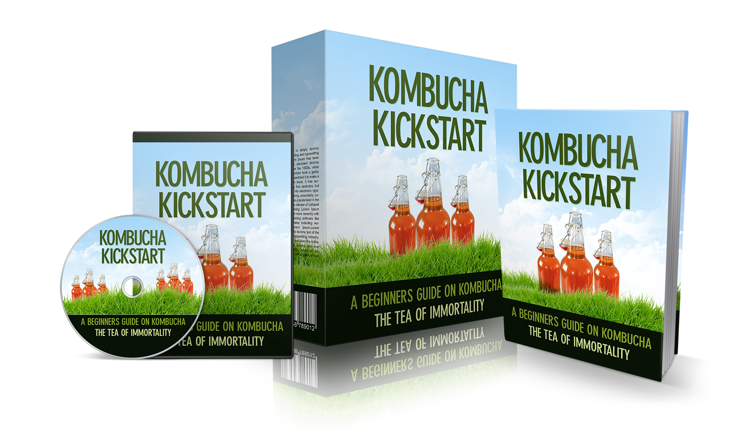 Kombucha Kickstar written material audio & videos